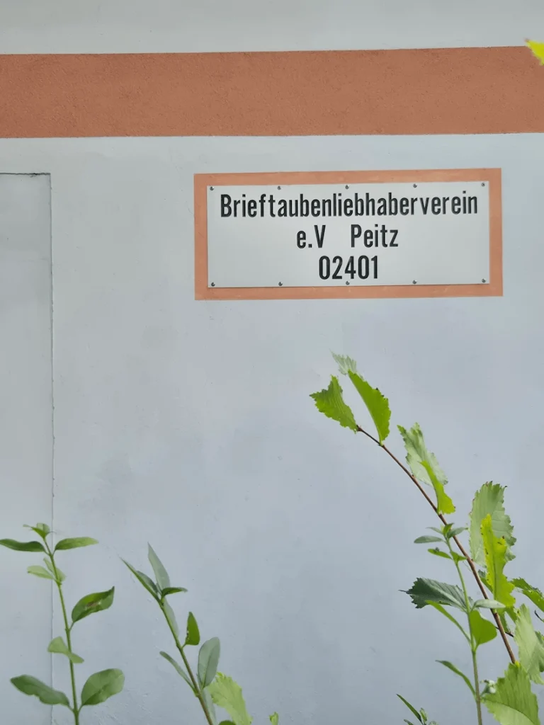 peitz, 13.8.2025